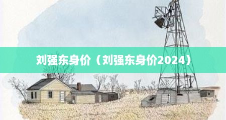 刘强东身价（刘强东身价2024）