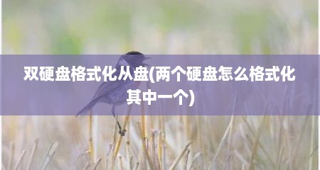 双硬盘格式化从盘(两个硬盘怎么格式化其中一个)