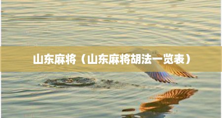 山东麻将（山东麻将胡法一览表）