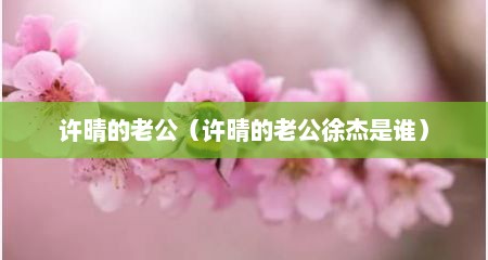 许晴的老公（许晴的老公徐杰是谁）