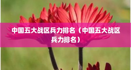 中国五大战区兵力排名（中国五大战区兵力排名）