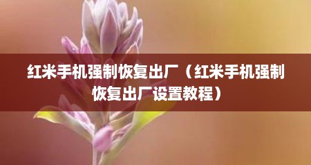 红米手机强制恢复出厂（红米手机强制恢复出厂设置教程）