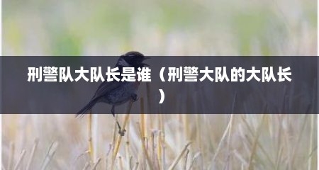 刑警队大队长是谁（刑警大队的大队长）