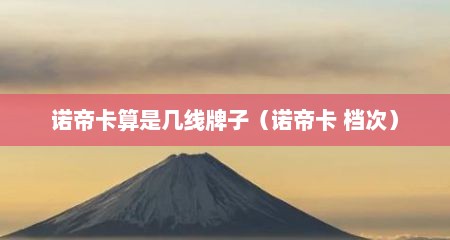 诺帝卡算是几线牌子（诺帝卡 档次）