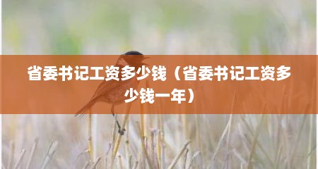 省委书记工资多少钱（省委书记工资多少钱一年）