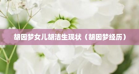 胡因梦女儿胡洁生现状（胡因梦经历）