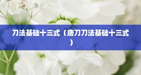 刀法基础十三式（唐刀刀法基础十三式）