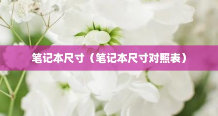 笔记本尺寸（笔记本尺寸对照表）