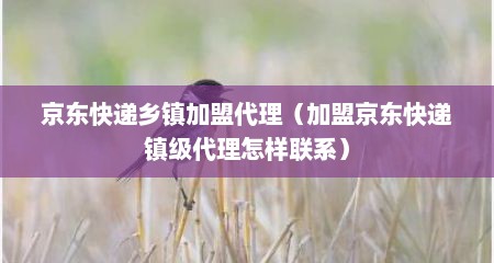 京东快递乡镇加盟代理（加盟京东快递镇级代理怎样联系）