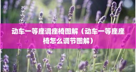 动车一等座调座椅图解（动车一等座座椅怎么调节图解）