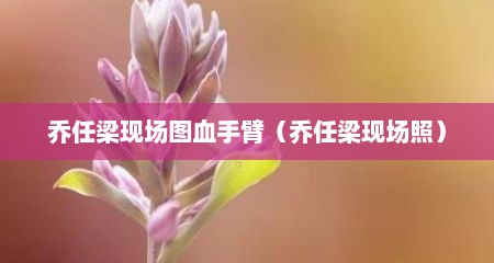乔任梁现场图血手臂（乔任梁现场照）