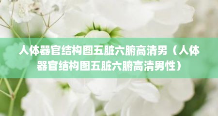 人体器官结构图五脏六腑高清男（人体器官结构图五脏六腑高清男性）