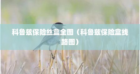 科鲁兹保险丝盒全图（科鲁兹保险盒线路图）
