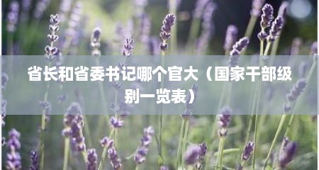 省长和省委书记哪个官大（国家干部级别一览表）