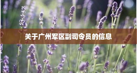 关于广州军区副司令员的信息