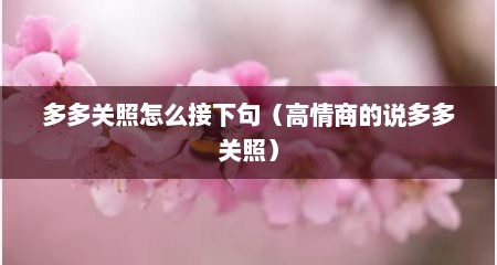 多多关照怎么接下句（高情商的说多多关照）