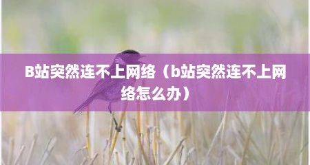 B站突然连不上网络（b站突然连不上网络怎么办）