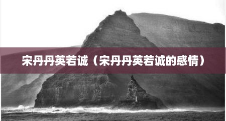宋丹丹英若诚（宋丹丹英若诚的感情）