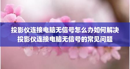 投影仪连接电脑无信号怎么办如何解决投影仪连接电脑无信号的常见问题