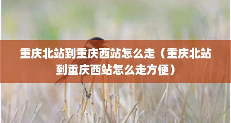 重庆北站到重庆西站怎么走（重庆北站到重庆西站怎么走方便）
