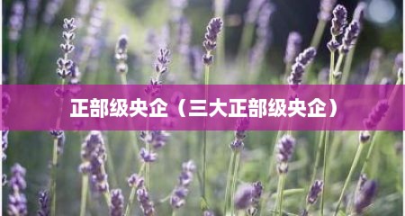 正部级央企（三大正部级央企）