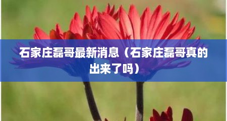 石家庄磊哥最新消息（石家庄磊哥真的出来了吗）