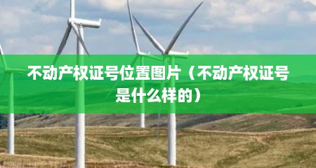 不动产权证号位置图片（不动产权证号是什么样的）