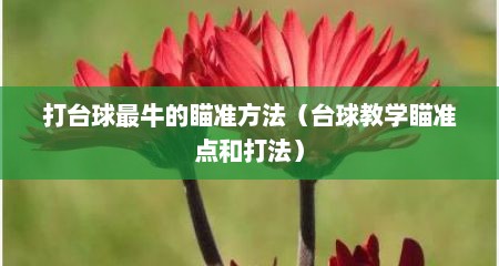 打台球最牛的瞄准方法（台球教学瞄准点和打法）