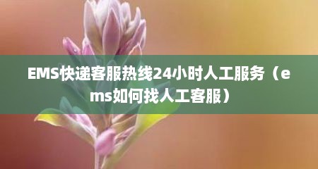 EMS快递客服热线24小时人工服务（ems如何找人工客服）