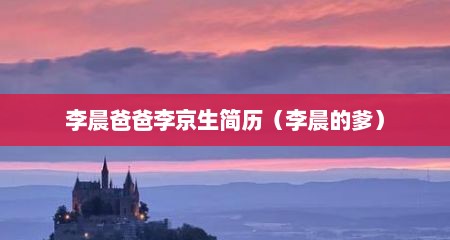 李晨爸爸李京生简历（李晨的爹）