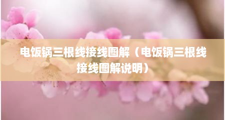 电饭锅三根线接线图解（电饭锅三根线接线图解说明）