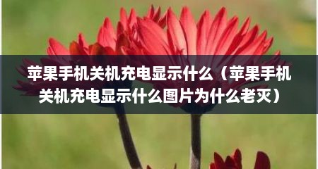 苹果手机关机充电显示什么（苹果手机关机充电显示什么图片为什么老灭）
