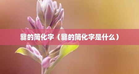 爨的简化字（爨的简化字是什么）