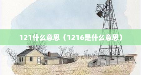 121什么意思（1216是什么意思）
