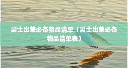 男士出差必备物品清单（男士出差必备物品清单表）