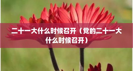 二十一大什么时候召开（党的二十一大什么时候召开）