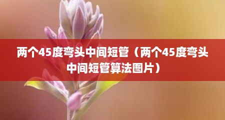 两个45度弯头中间短管（两个45度弯头中间短管算法图片）