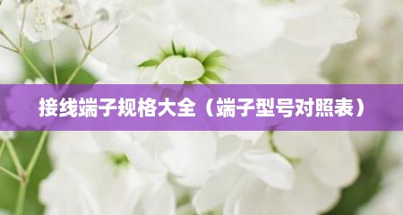 接线端子规格大全（端子型号对照表）