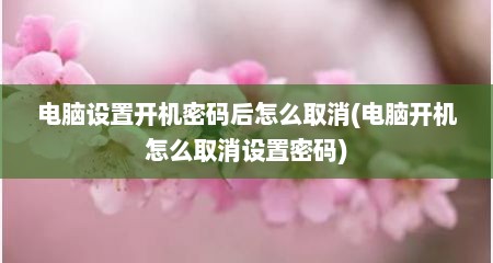 电脑设置开机密码后怎么取消(电脑开机怎么取消设置密码)