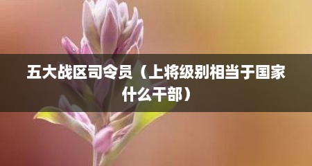 五大战区司令员（上将级别相当于国家什么干部）
