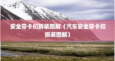 安全带卡扣拆装图解（汽车安全带卡扣拆装图解）