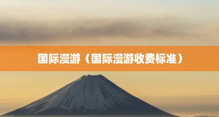 国际漫游（国际漫游收费标准）