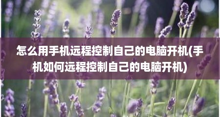 怎么用手机远程控制自己的电脑开机(手机如何远程控制自己的电脑开机)