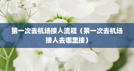第一次去机场接人流程（第一次去机场接人去哪里接）