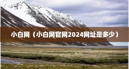 小白网（小白网官网2024网址是多少）