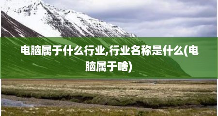 电脑属于什么行业,行业名称是什么(电脑属于啥)