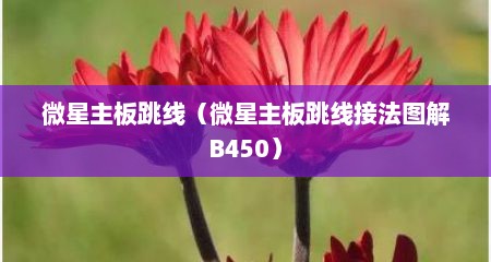 微星主板跳线（微星主板跳线接法图解B450）