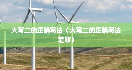 大写二的正确写法（大写二的正确写法笔顺）