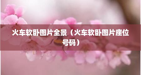 火车软卧图片全景（火车软卧图片座位号码）