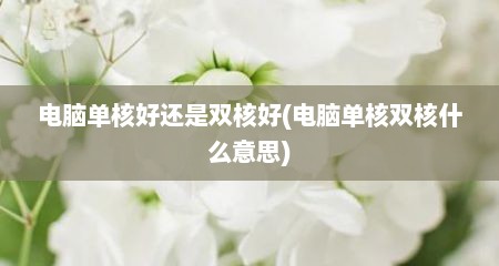 电脑单核好还是双核好(电脑单核双核什么意思)